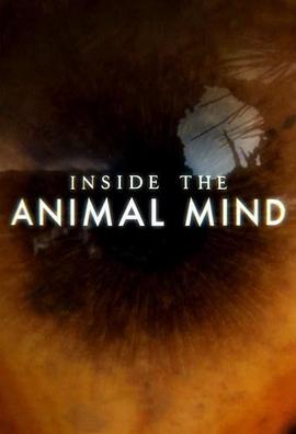 动物心智 Inside the Animal Mind的海报
