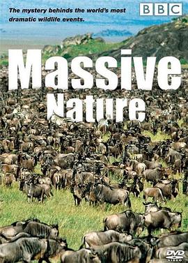 群体大自然 Massive Nature的海报