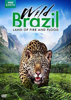 狂野巴西 Wild Brazil的海报