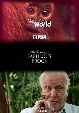 大自然：爱登保罗爷爷带你看绝妙的蛙 Nature: Attenborough's Fabulous Frogs的海报