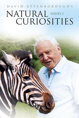 自然趣闻 第一季 David Attenborough's Natural Curiosities Season 1的海报