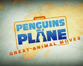 飞机上的企鹅：伟大的动物运动 Penguins on a Plane: Great Animal Moves的海报