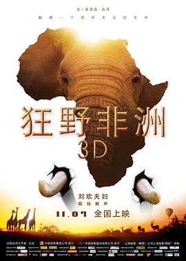 狂野非洲 African Safari的海报