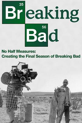 绝不折中：绝命毒师最终季制作记录 No Half Measures: Creating the Final Season of Breaking Bad的海报