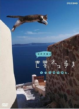 岩合光昭的猫步走世界 岩合光昭の世界ネコ歩き的海报