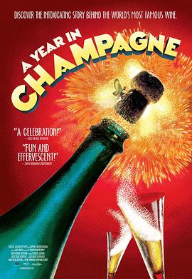 香槟的一年 A Year in Champagne的海报