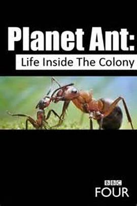 蚂蚁星球 Planet Ant: Life Inside the Colony的海报