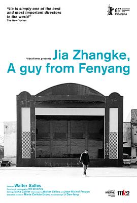 汾阳小子贾樟柯 Jia Zhangke, Um Homem de Fenyang的海报