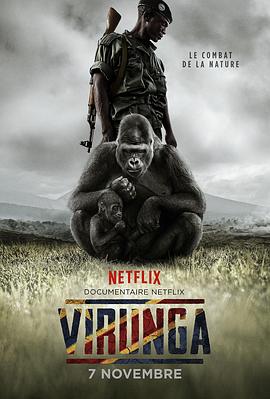 维龙加 Virunga的海报