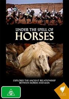 马的魅力 Im Bann der Pferde的海报
