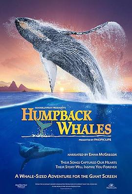 座头鲸 Humpback Whales的海报