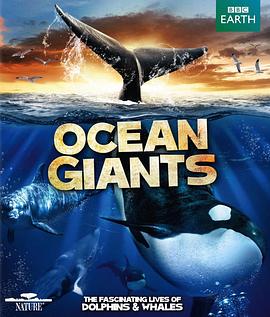 海洋巨兽 Ocean Giants的海报