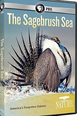自然：灌木蒿海洋 Nature - The Sagebrush Sea的海报