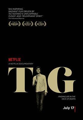 泰格 Tig的海报