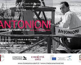 安东尼奥尼：拥有改变电影界的眼睛 Michelangelo Antonioni:The Eye That Changed Cinema的海报