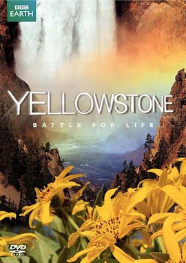 黄石公园 Yellowstone的海报