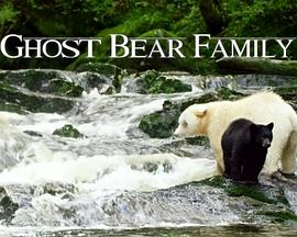 灵熊一家 Spirit Bear Family的海报