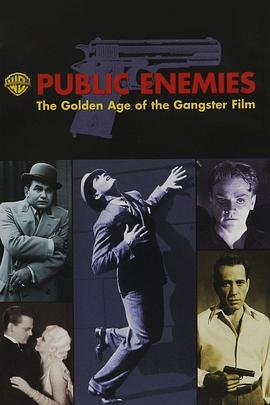 公众之敌：黑帮电影的黄金时代 Public Enemies: The Golden Age of the Gangster Film的海报