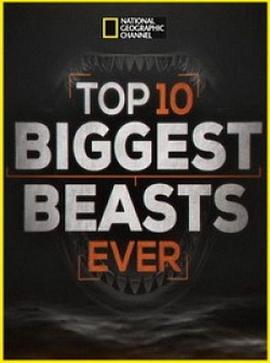 十大巨兽排行榜 Top 10 Biggest Beasts Ever的海报