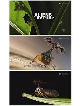 亚马逊异形 Aliens of the Amazon的海报