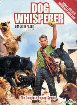 狗语者 第一季 Dog Whisperer with Cesar Millan Season 1的海报