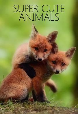超萌动物 Super Cute Animals的海报