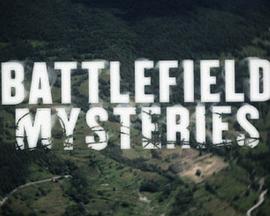 战场悬疑 Battlefield Mysteries的海报