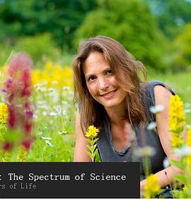 色彩的奥秘 Colour: The Spectrum of Science的海报