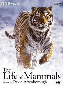 哺乳类全传 The Life of Mammals的海报