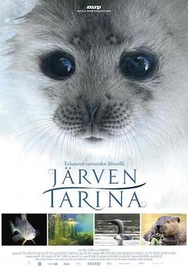 湖泊的传说 Järven tarina的海报