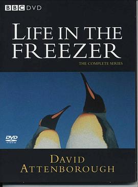 冰雪的童话 Life In The Freezer的海报