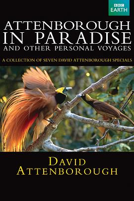 鸟的天堂 Attenborough in Paradise的海报