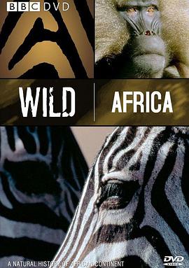野性非洲 Wild Africa的海报