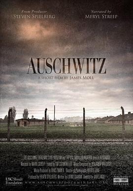 奥斯维辛集中营 Auschwitz的海报