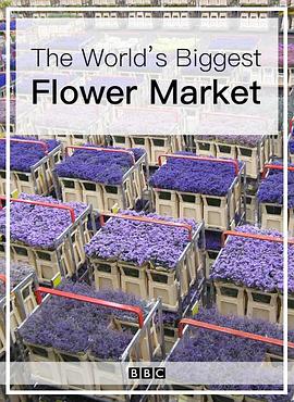 世界上最大的鲜花市场 The World's Biggest Flower Market的海报