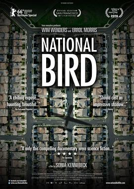 国鸟 National Bird的海报