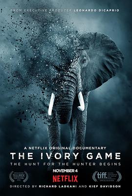 象牙游戏 The Ivory Game的海报