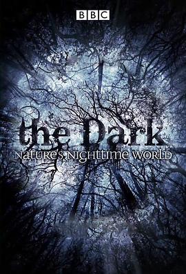 黑暗中的自然界 The Dark: Nature's Nighttime World的海报