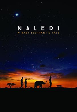 纳勒迪：一只小象的故事 Naledi: A Baby Elephant's Tale的海报
