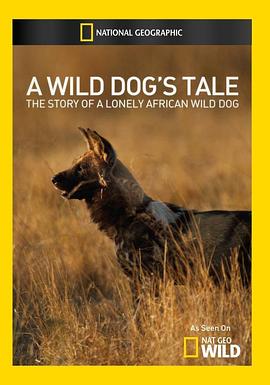 豺犬传奇 A Wild Dog's Tale的海报