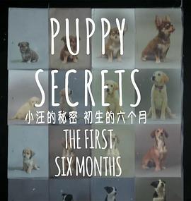 小汪的秘密：初生的六个月 Puppy Secrets: The First Six Months的海报