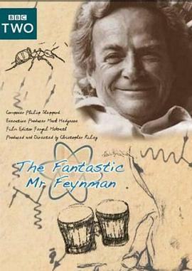 神奇的费曼先生 The Fantastic Mr Feynman的海报
