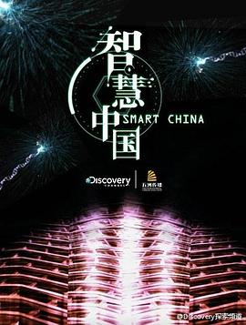 智慧中国 第一季的海报