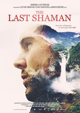 最后的萨满 The Last Shaman的海报