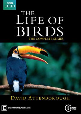 野鸟世界 The Life of Birds的海报