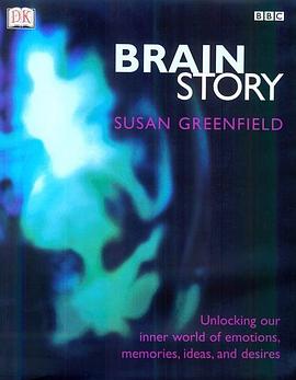 人脑漫游 Brain Story的海报