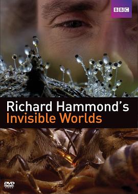 理查德·哈蒙德：看不见的世界 Richard Hammond's Invisible Worlds的海报