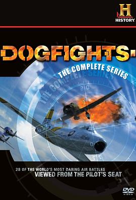 空中格斗 Dogfights的海报