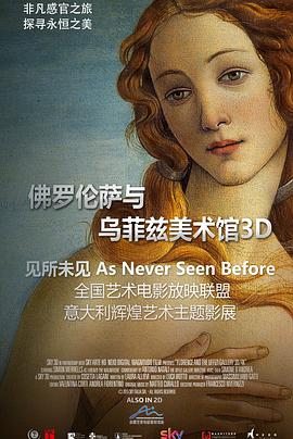 佛罗伦萨与乌菲兹美术馆3D Florence and the Uffizi Gallery的海报