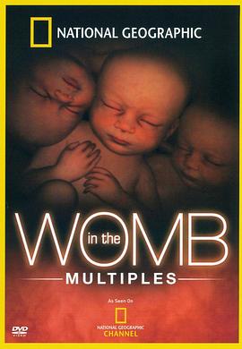 子宫日记：多胞胎 In the Womb: Multiples的海报